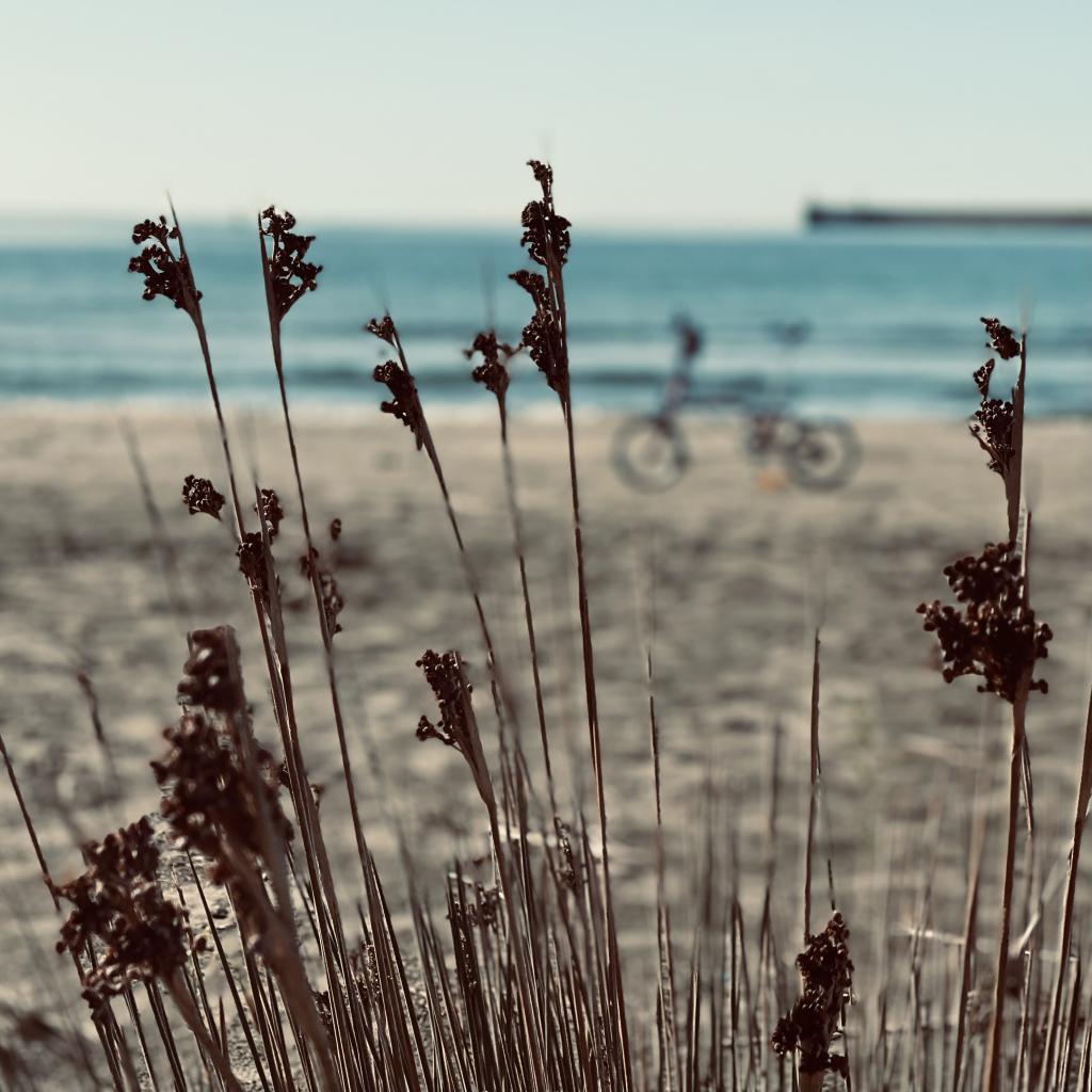 IMG_5983_0.jpeg