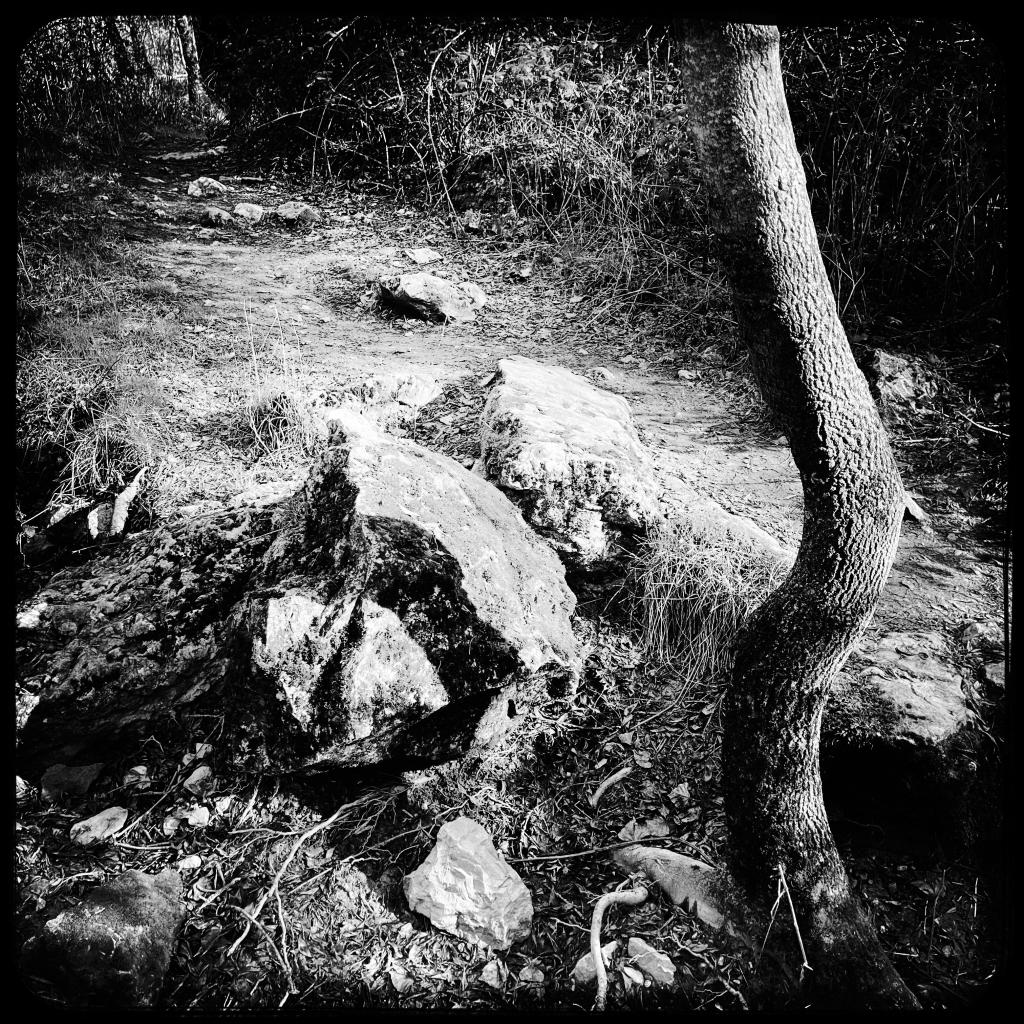 HipstamaticPhoto-789775459.727821.jpeg